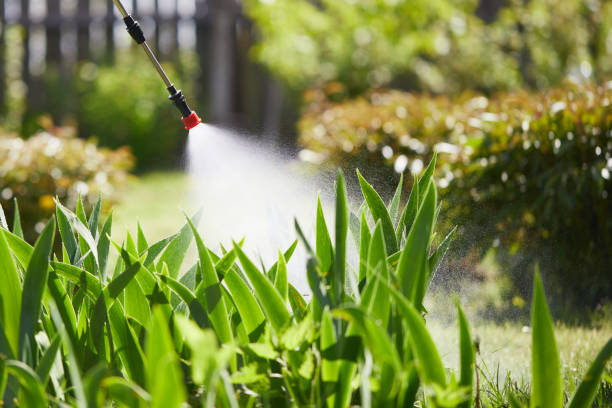 24/7 Emergency Wasp Removal experts in Holly Hill, SC