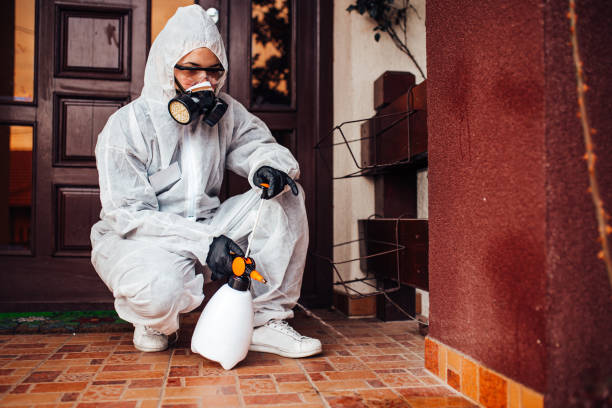 Reliable Wasp Removal contractor in Holly Hill, SC by Show Me Pest Control